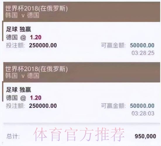 多家世界杯投注平台被停运引发广泛关注